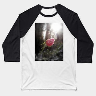 rose in the snow Baseball T-Shirt